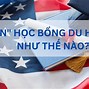 Học Bổng Ngành Y Của Mỹ Năm 2024 Là Bao Nhiêu Tuổi Rồi Sao