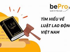 Luật Lao Động Việt Nam Không Điều Chỉnh Các Quan Hệ Lao Động Có Yếu Tố Nước Ngoài Đúng Hay Sai