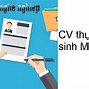 Thực Tập Sinh Marketing